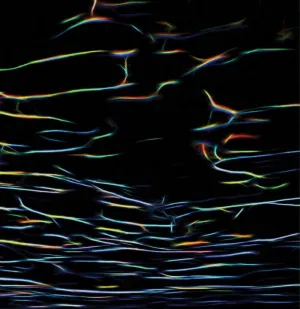 Porter Ricks - Biokinetics [Audio CD]